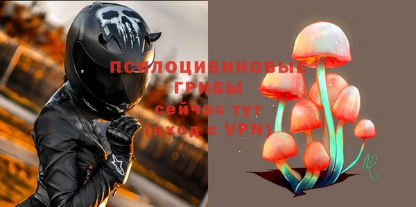 ГАЛЛЮЦИНОГЕННЫЕ ГРИБЫ Балахна