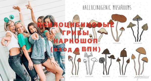 ГАЛЛЮЦИНОГЕННЫЕ ГРИБЫ Балахна