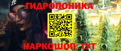 трава Кандалакша
