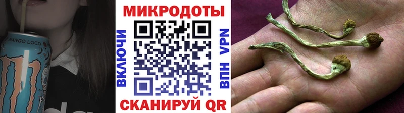 Галлюциногенные грибы Psilocybine cubensis  Бирск 