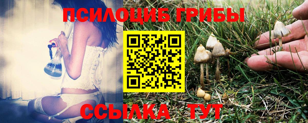 Галлюциногенные грибы Psilocybine cubensis  Вход с VPN  Бирск 