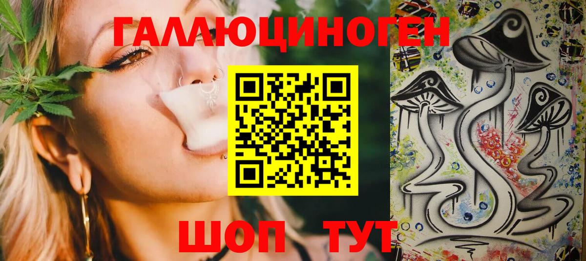Галлюциногенные грибы Psilocybe Бирск