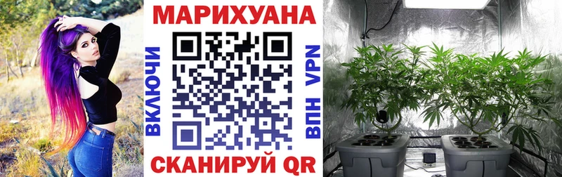 Шишки марихуана THC 21%  Бирск 